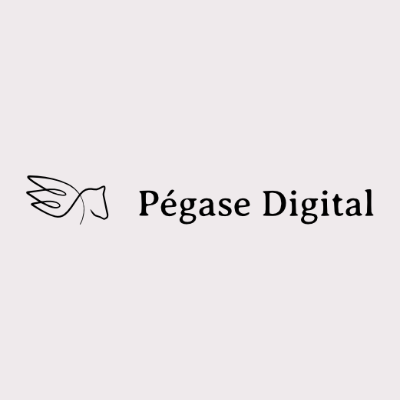 Pégase Digital marketing Agency Website
